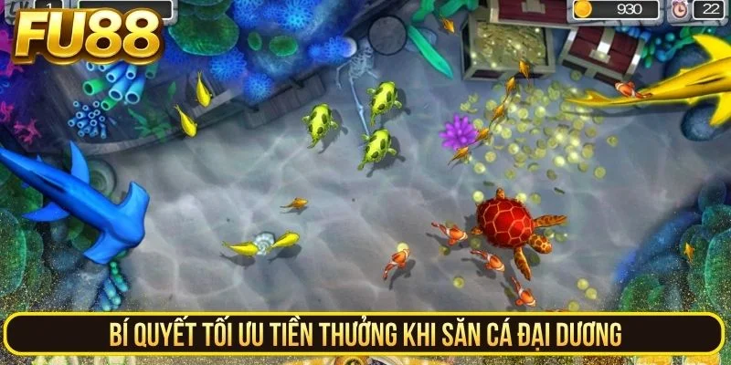 Bí quyết tối ưu tiền thưởng khi săn cá đại dương