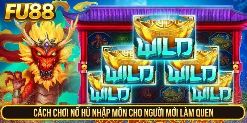 Common slot game features including Wild, Scatter and Free Spins