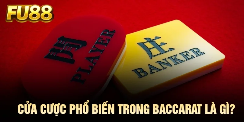 Cửa cược phổ biến trong Baccarat là gì?