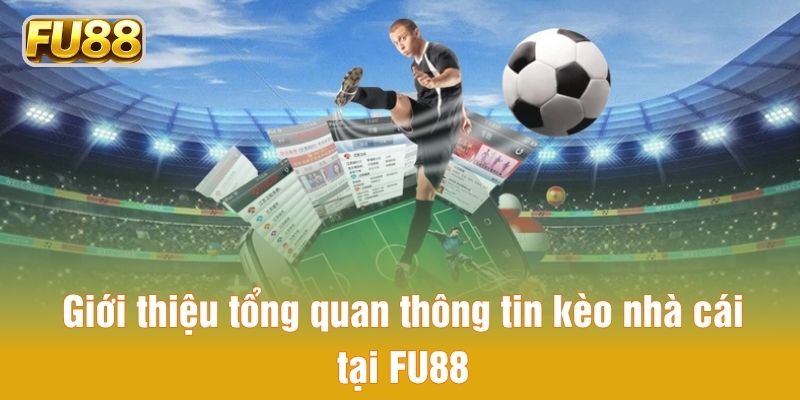 Giới thiệu tổng quan thông tin kèo nhà cái tại FU88