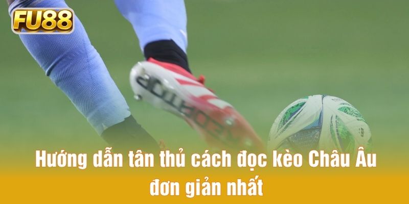 Hướng dẫn tân thủ cách đọc kèo Châu Âu đơn giản nhất