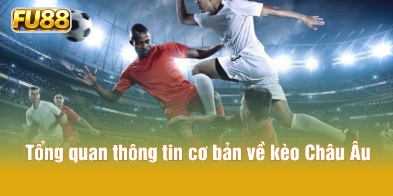 Tổng quan thông tin cơ bản về kèo Châu Âu