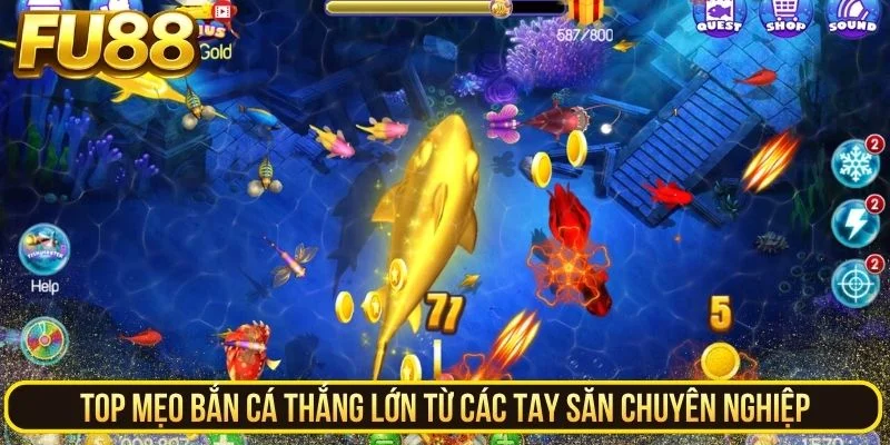 Top mẹo bắn cá thắng lớn từ các tay săn chuyên nghiệp
