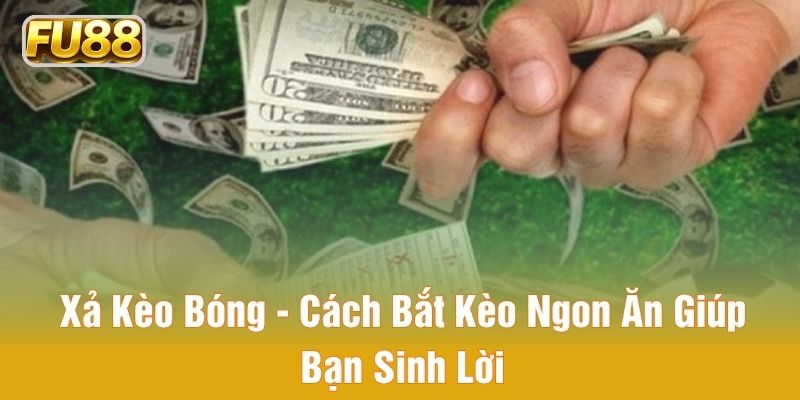 Xả Kèo Bóng - Cách Bắt Kèo Ngon Ăn Giúp Bạn Sinh Lời